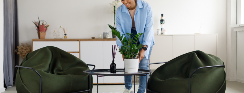 Homestaging Immobilienmarkt