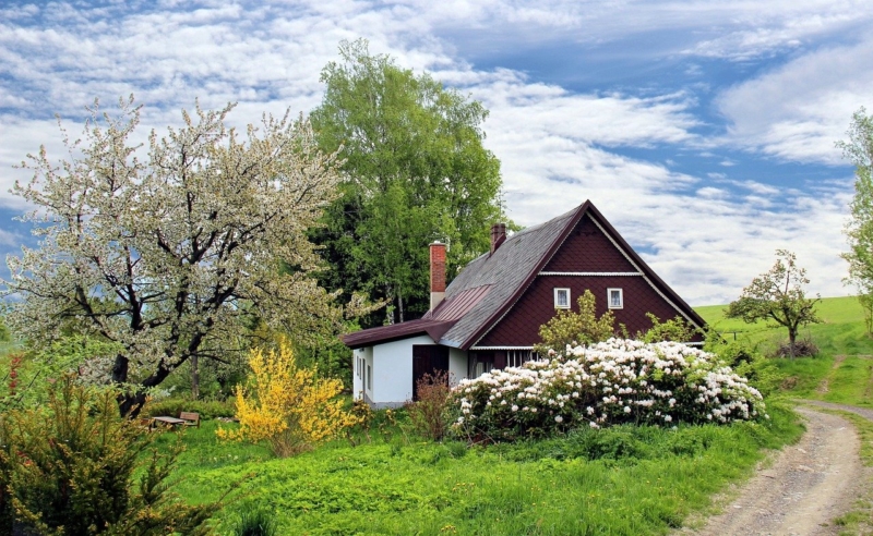 Immobilienjahr 2021