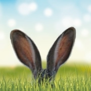 Frohe Ostern ZEIT & WERT Immobilien