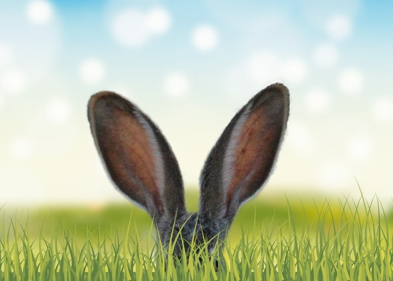 Frohe Ostern ZEIT & WERT Immobilien