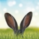 Frohe Ostern ZEIT & WERT Immobilien