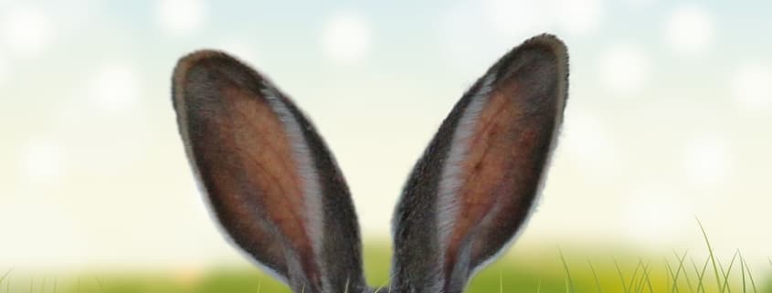Frohe Ostern ZEIT & WERT Immobilien